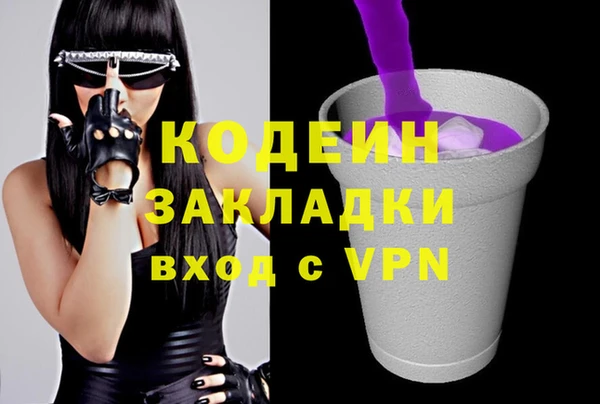 ПСИЛОЦИБИНОВЫЕ ГРИБЫ Каменка