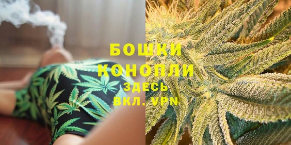 ПСИЛОЦИБИНОВЫЕ ГРИБЫ Каменка