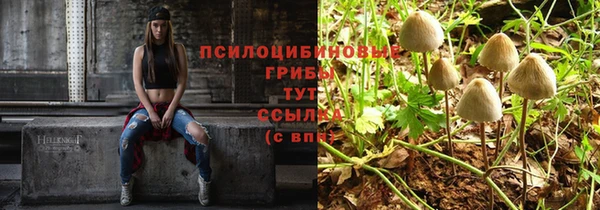 герыч Каменск-Шахтинский