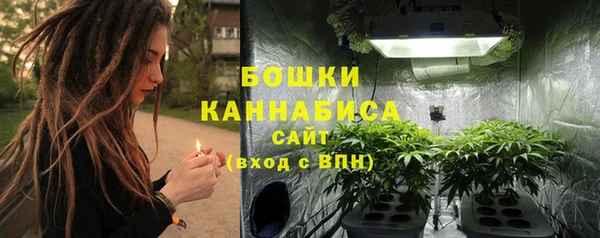 ПСИЛОЦИБИНОВЫЕ ГРИБЫ Каменка