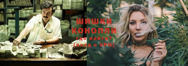 ПСИЛОЦИБИНОВЫЕ ГРИБЫ Каменка
