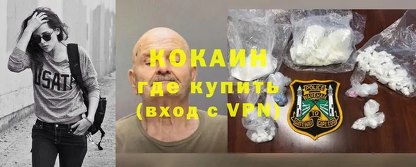 ПСИЛОЦИБИНОВЫЕ ГРИБЫ Каменка