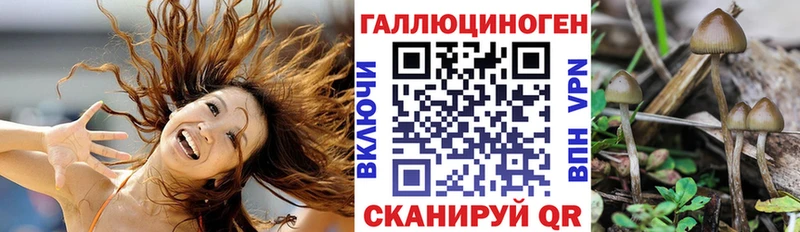 ссылка на мегу зеркало  Новошахтинск  Галлюциногенные грибы прущие грибы  цены наркотик 